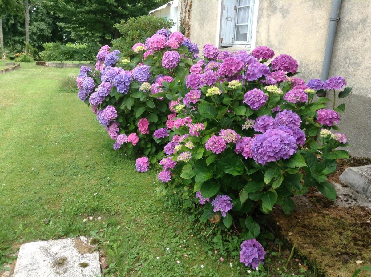 Chateau De Benac Extérieur photo